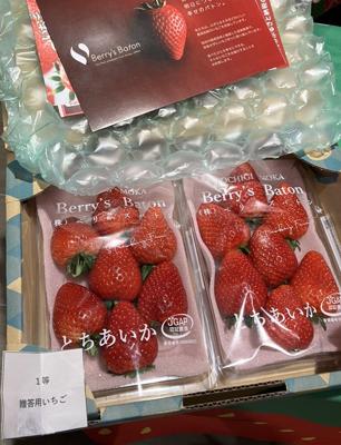 とちぎのいちごふぇす2026で一等の「とちあいか」を当てました🍓