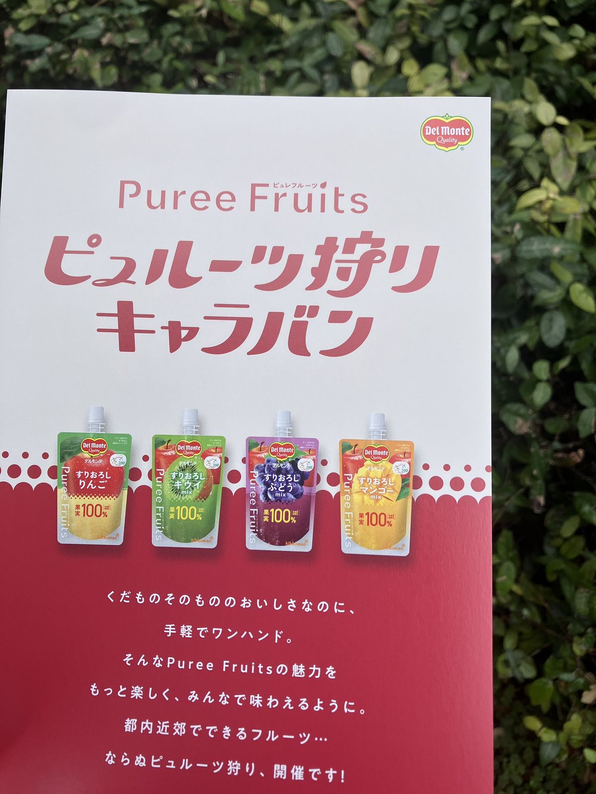 デルモンテ ピュレフルーツ 大都会のピュルーツ狩り